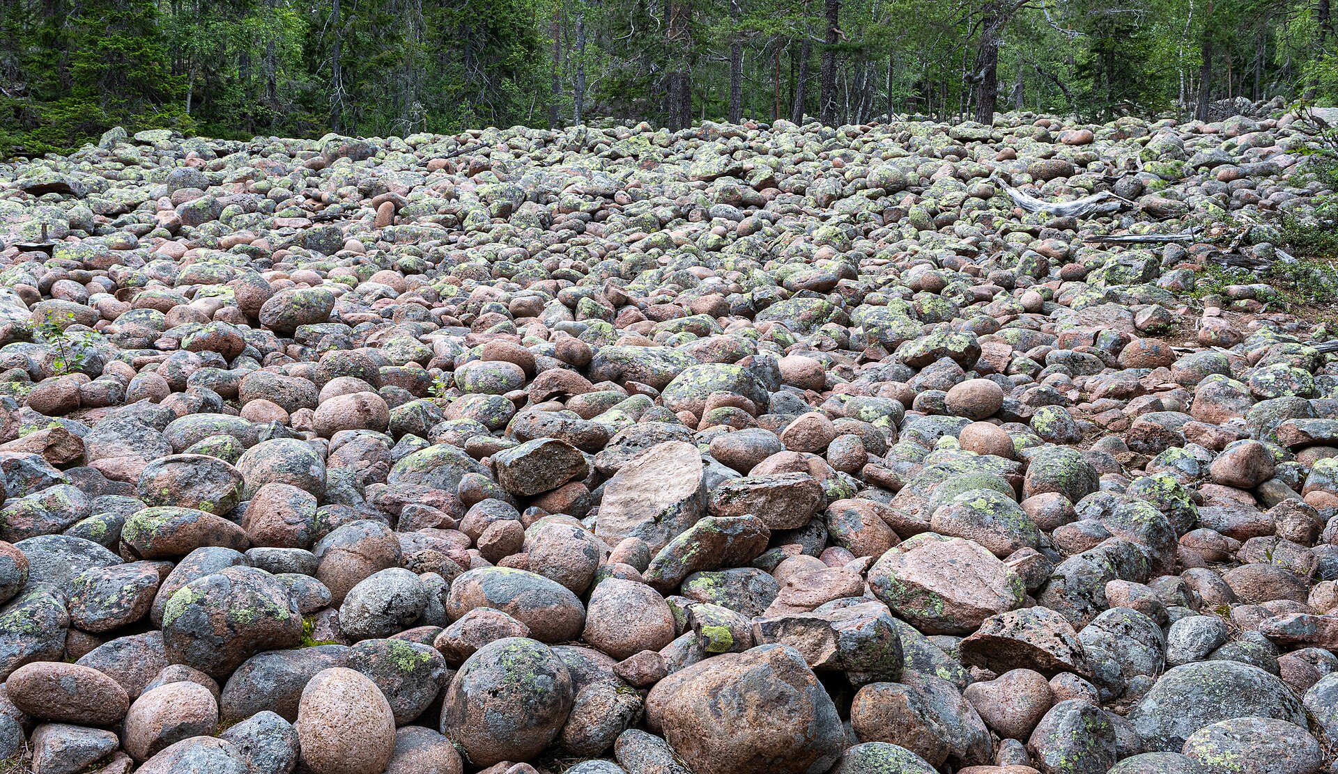Klapperstenfält längs kusten i Skuleskogen, Höga kusten