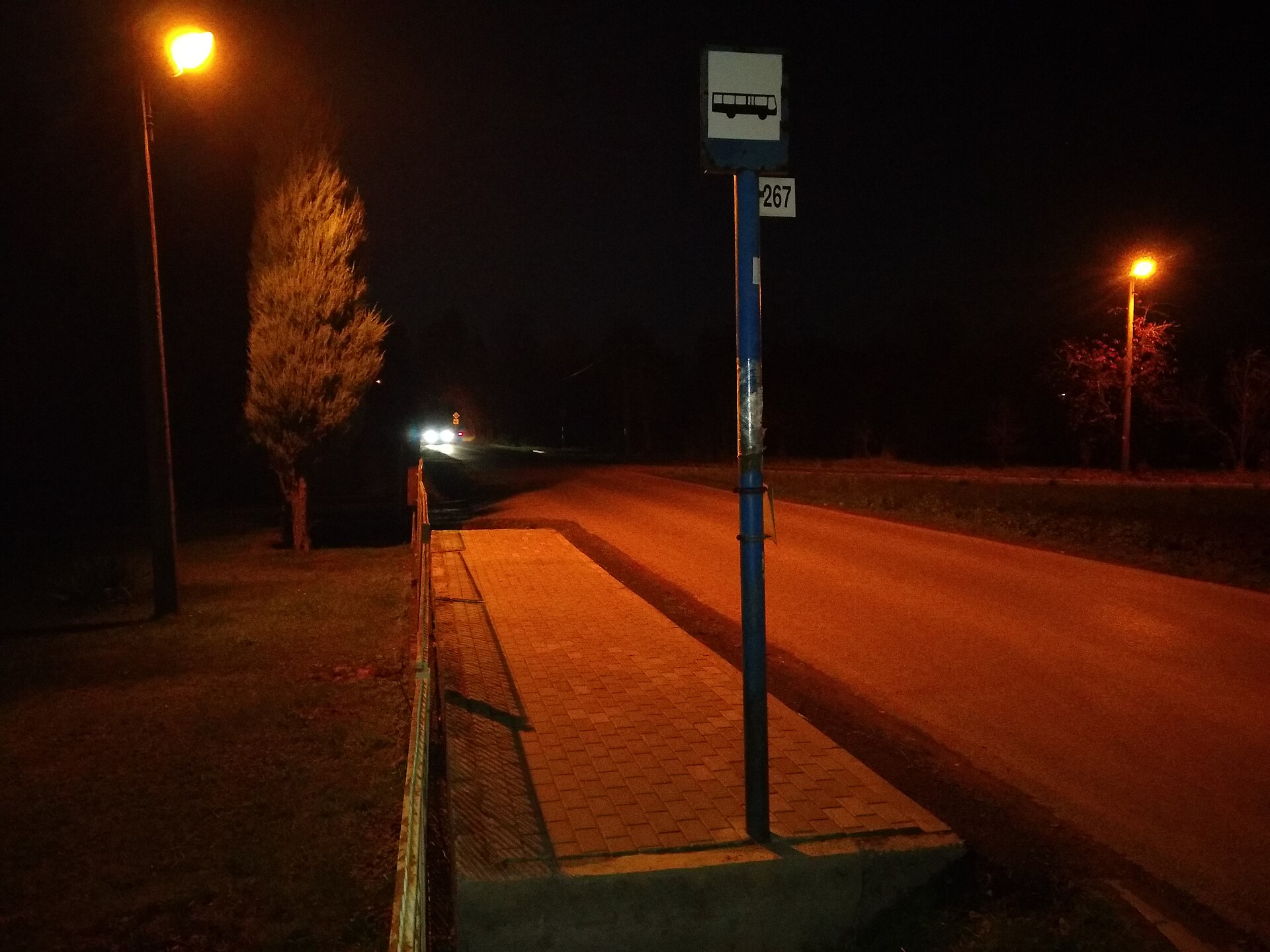 Busshållplats på natten med upplyst perrong.