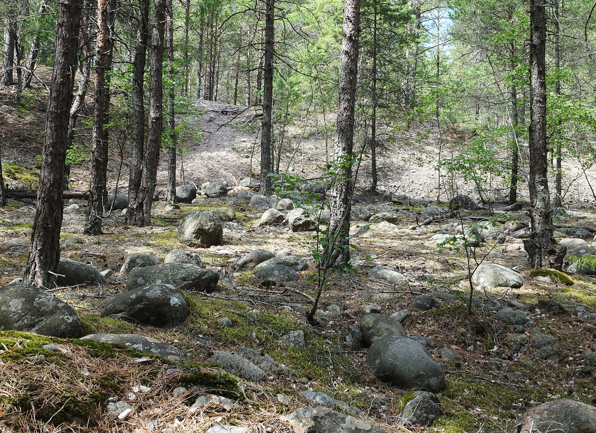 En lång rullstensås som löper genom landskapet.