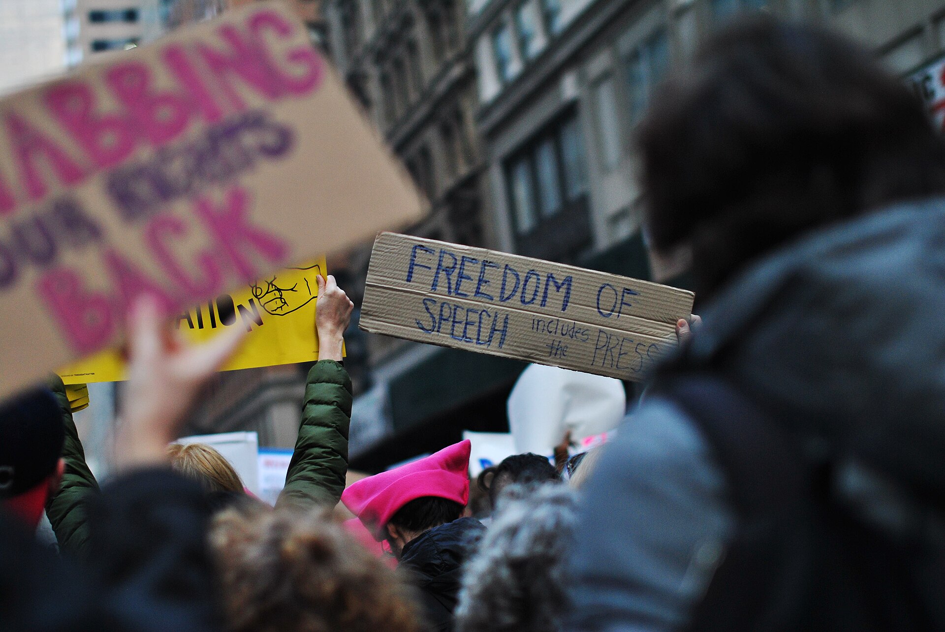 Demonstranter med skylt om yttrandefrihet och pressfrihet.